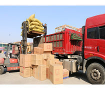 貨運物流產品庫