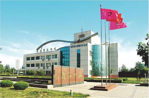 技術賦能，破局前行 山東糧食產業破解同質化困局的轉型實踐